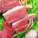咸肉