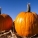 四季豆,南瓜