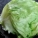 圆生菜,怎么吃