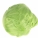 圆白菜,包菜