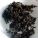 地皮菜,丝瓜