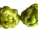 大头菜,大头菜是什么菜