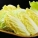 大白菜,大白菜是什么