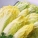 娃娃菜,怎么吃