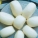微波炉,馒头