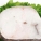 无须鳕鱼,鳕鱼,区别
