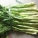 汉菜,怎么挑选汉菜