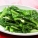 油麦菜,转基因