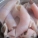 猪皮,怎么吃