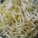 绿豆芽,绿豆芽是什么