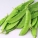 荷兰豆,荷兰豆是什么