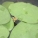 莼菜