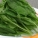 菠菜,怎么吃