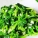 菠菜,菠菜可以生吃吗