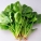 菠菜,豆腐