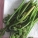 蕨菜,怎么吃
