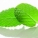 薄荷,热量