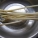 藕带,食用禁忌