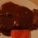 辣酱油
