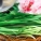 韭菜,韭菜是辛辣食物吗