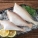马面鱼,功效与作用