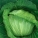 高丽菜,泡菜
