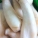 鸡腿菇,鸡腿菇是什么