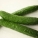 黄瓜,水果,蔬菜